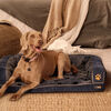 Cama Acolchada Cic para Mascotas Talla M