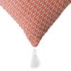 Cojín Tassels Casanova Liso Pink 45 x 45 cm