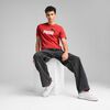 Polera Urbano Hombre Puma