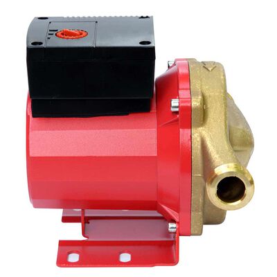 Imagen 2 del producto Electrobomba Recirculadora 1” 58 Lts/Min