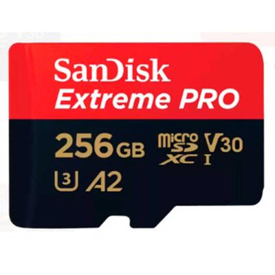Memoria Sandisk SDSQXCD-256GB