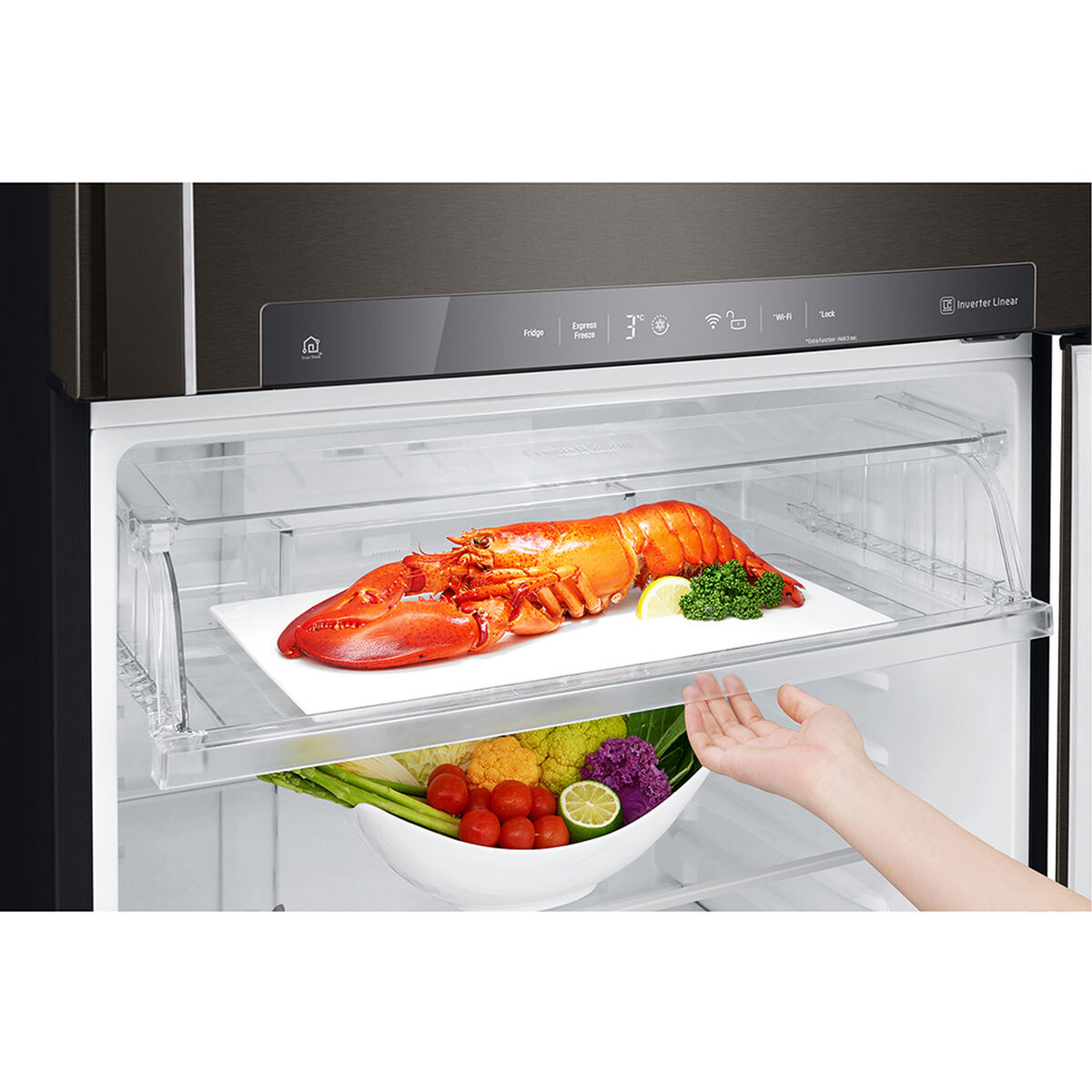 Refrigerador No Frost LG LT51SGD 509 lts.