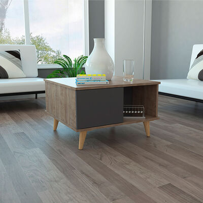 Imagen 1 del producto Mesa de Centro TuHome Salem