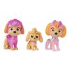Figura Paw Patrol Mighty Set Figuras Skye
