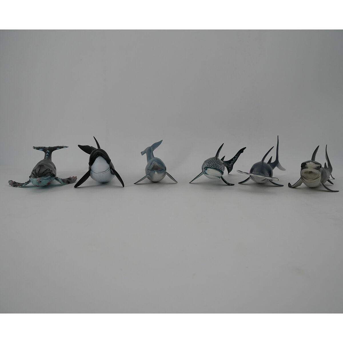 Set Animales Marinos