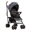 Coche Magic Ride Gris Bebesit
