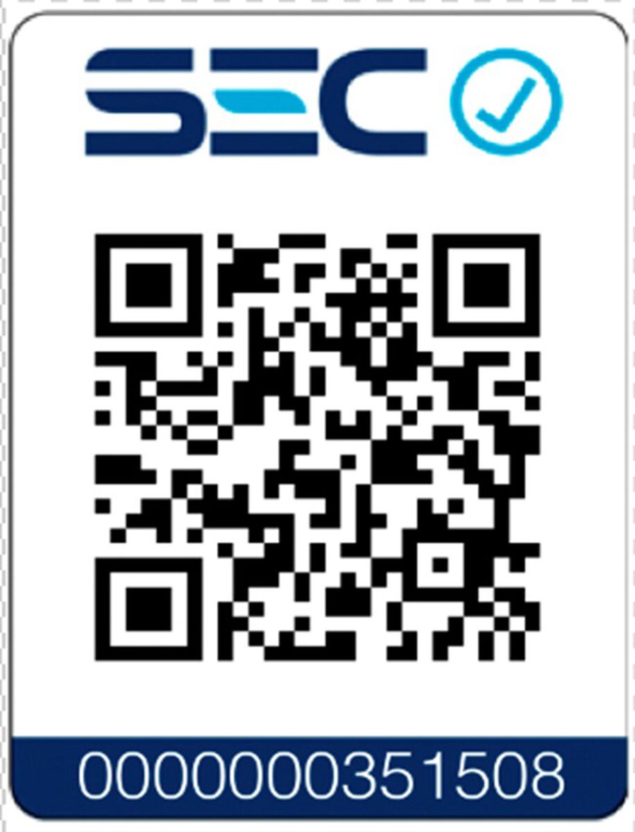 Set 100 Luces LED para Árbol de Navidad Casanova Blanco Cálido