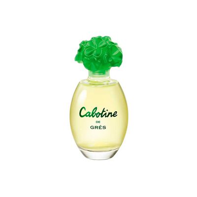 Imagen 2 del producto Perfume Mujer Cabotine de Gres 100 ML EDT