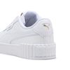 Zapatilla Urbana Hombre Puma
