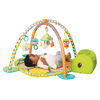 Gimnasio 2 en 1 Infantino Gym Grow With Me
