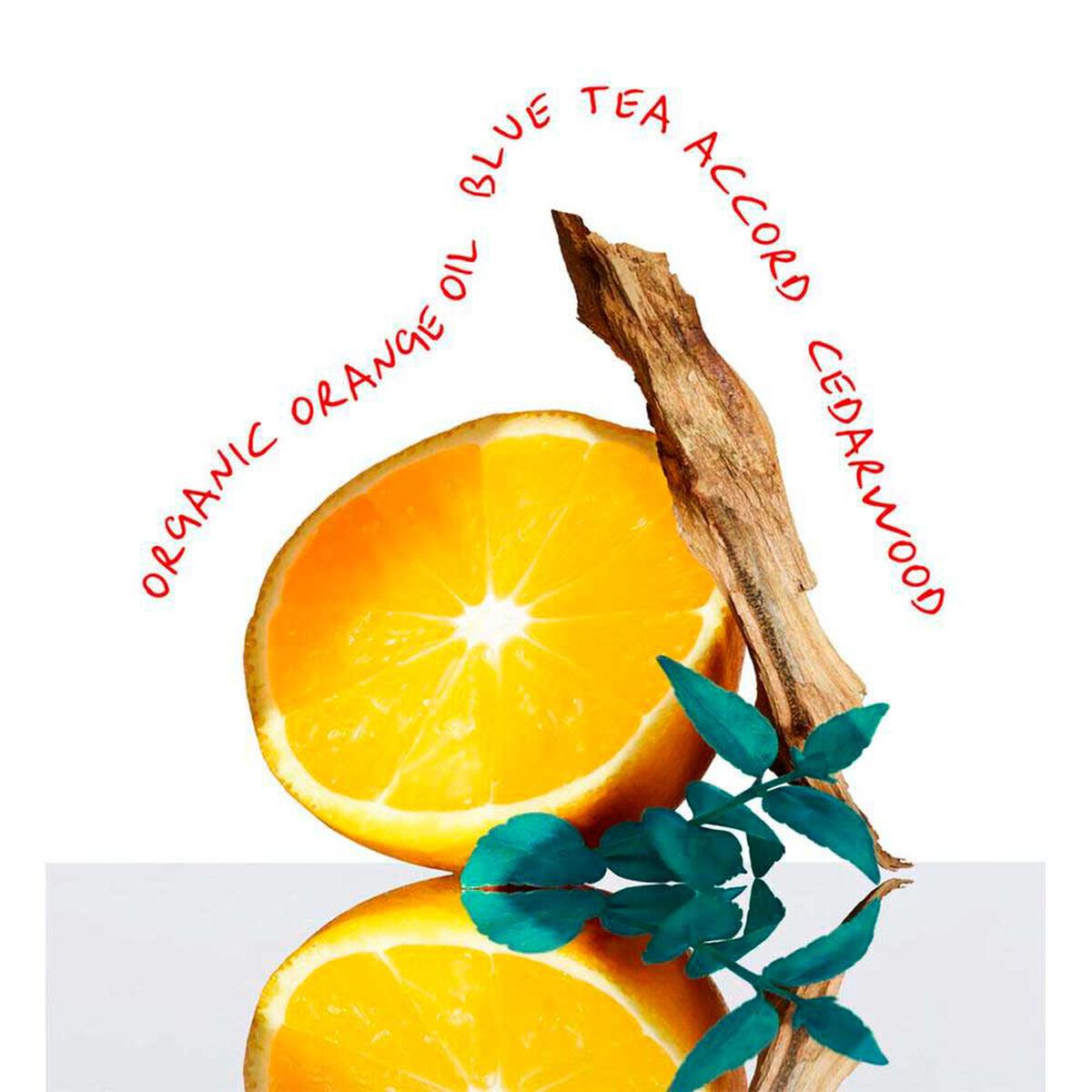 Perfume Calvin Klein CK Everyone EDT 50 ml