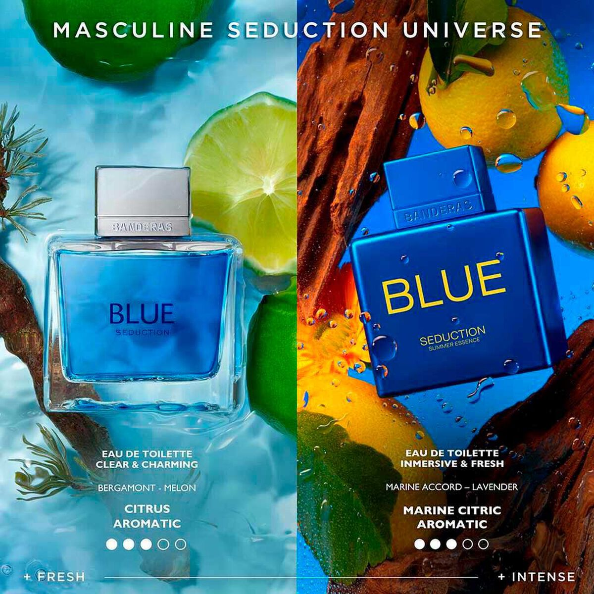 Perfume Antonio Banderas Hombre Blue Seduction Summer Essence 100 ML