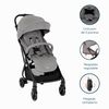 Coche Travel Tourist Gris Joie