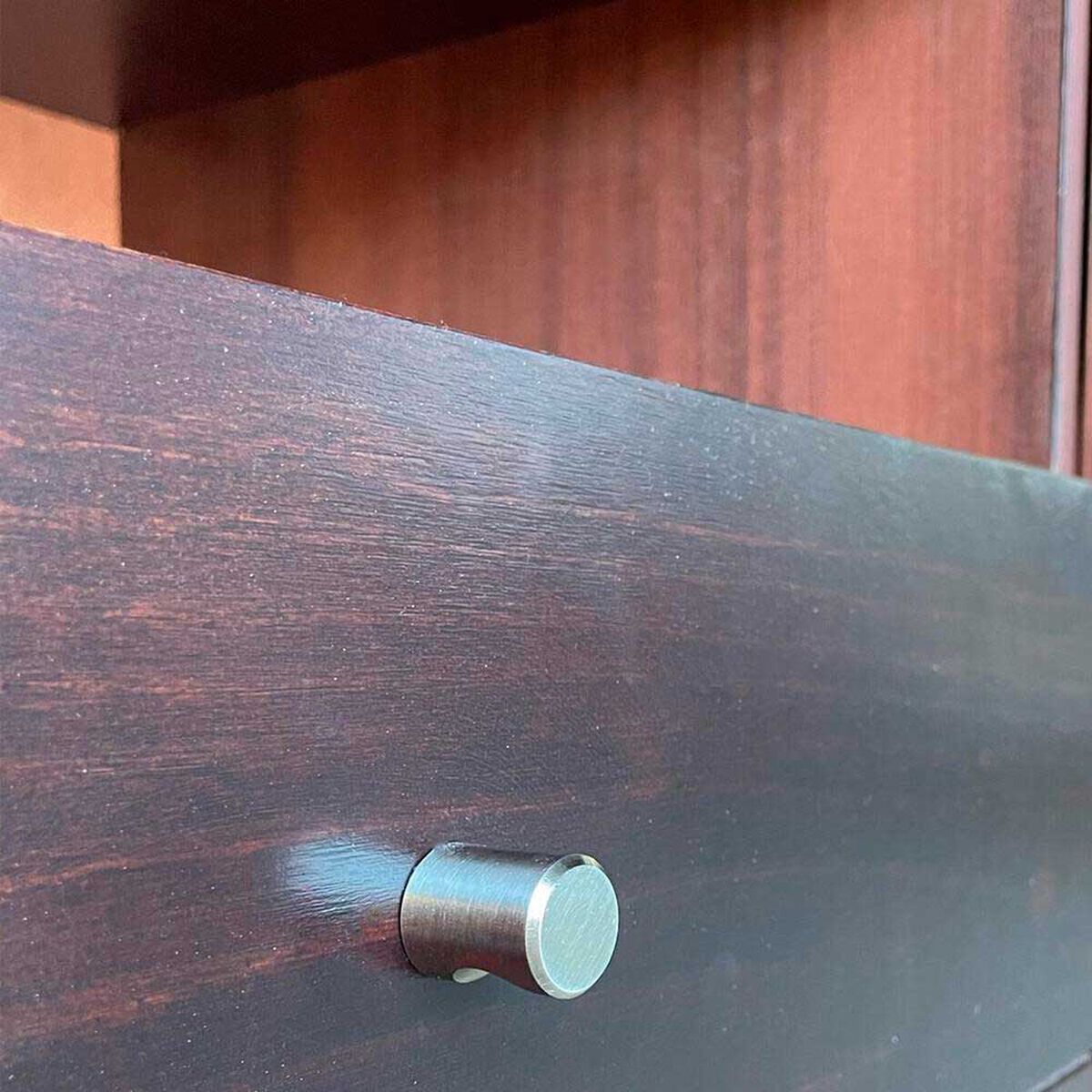 Vitrina Araucarias Gran Barcelona Caf&eacute;