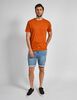 Polera Manga Corta Hombre Zibel
