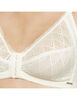 Sostén Copa D Mujer Intime