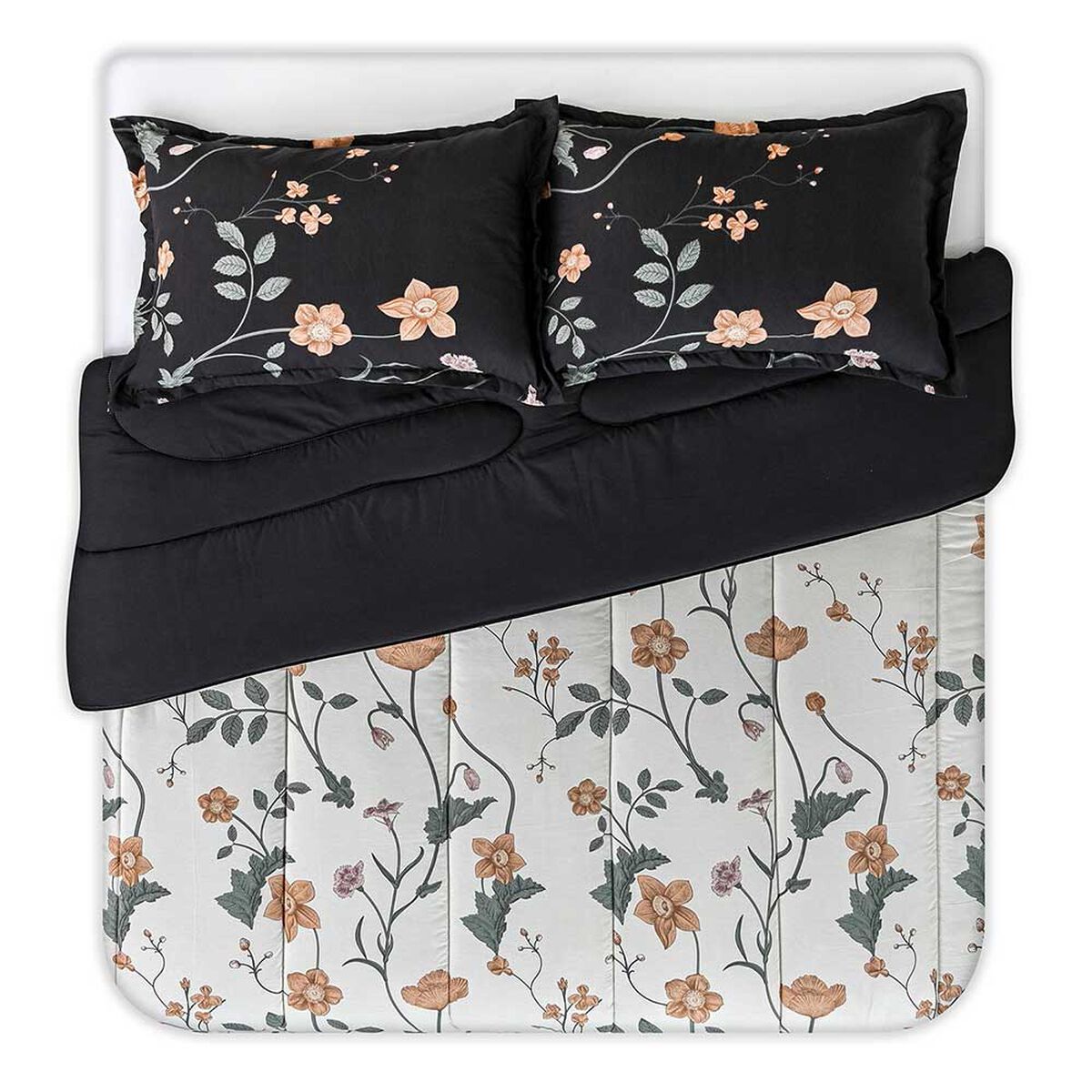 Plum&oacute;n Cannon King Elisse