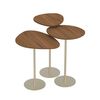 Set Mesas Decocasa Botanic Champagne