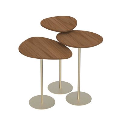 Imagen 1 del producto Set Mesas Decocasa Botanic Champagne