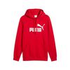 Polerón Urbano Hombre Puma