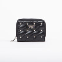 Billetera Mujer Icono