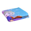 Toalla de Playa Disney Microfibra Frozen nature 70 x 140 cm