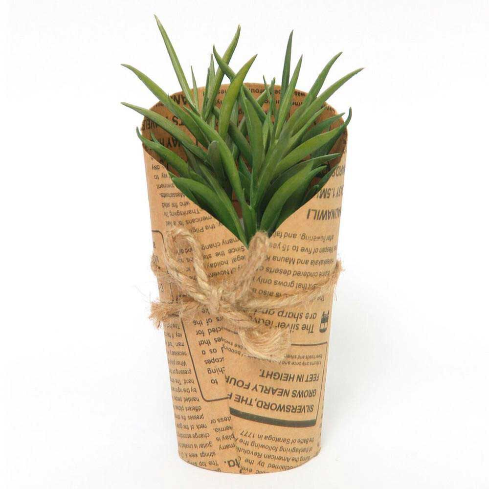 Mini Cactus Vgo 13X7.5 Cm Marrón