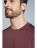 Polerón Hombre Perry Ellis