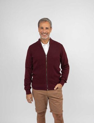 Imagen 1 del producto Sweater Hombre Portman Club Burdeo, Musgo, Negro