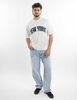 Polera Manga Corta Hombre Icono