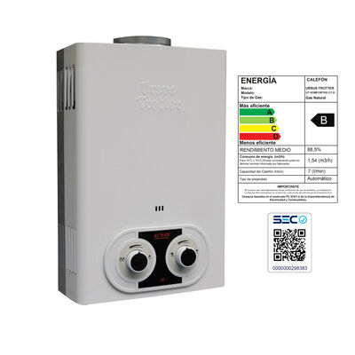 Imagen 2 del producto Caldera Ursus Trotter UT PMC-24 TFE GL 24 lts.