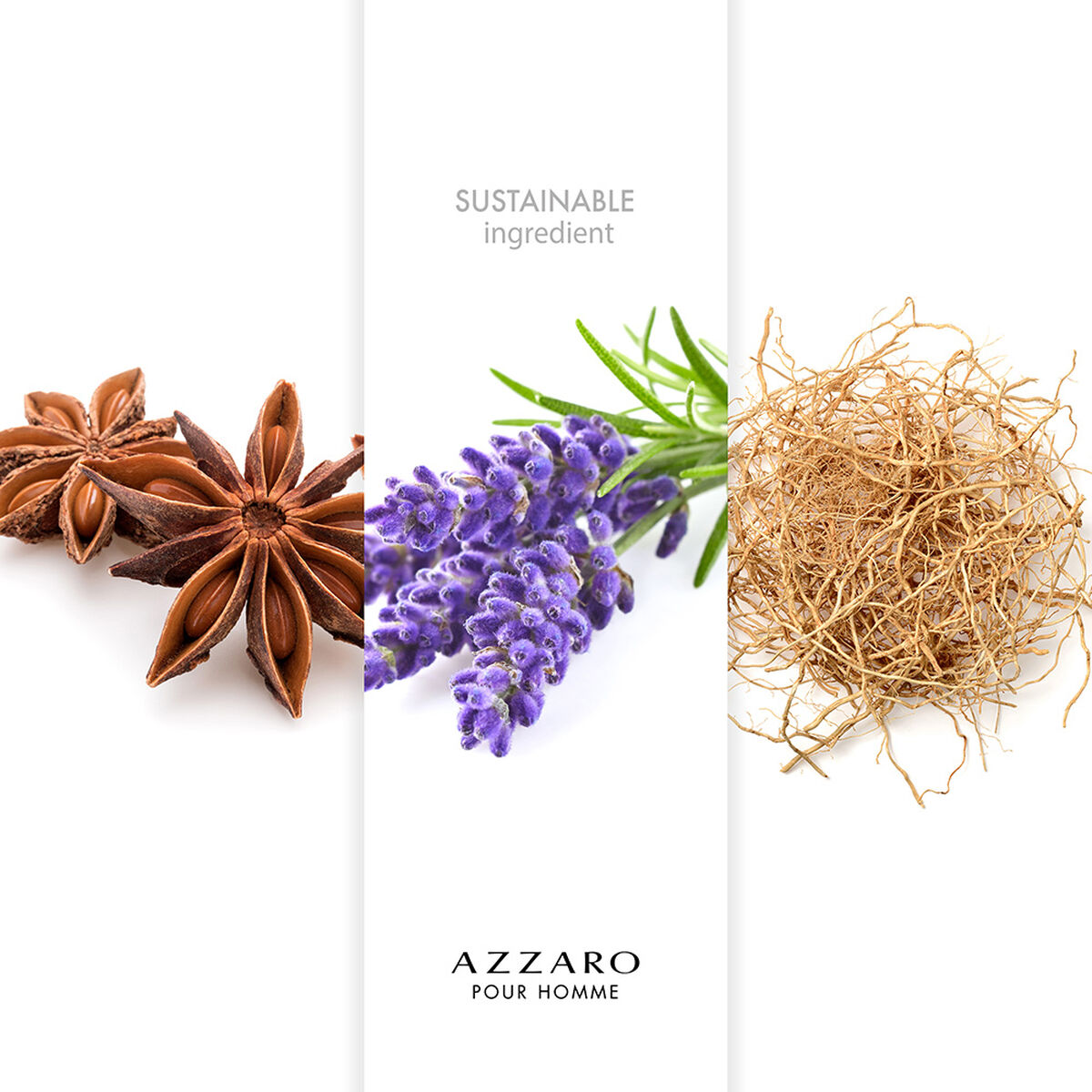 Perfume Azzaro Pour Homme Edt 100 ml