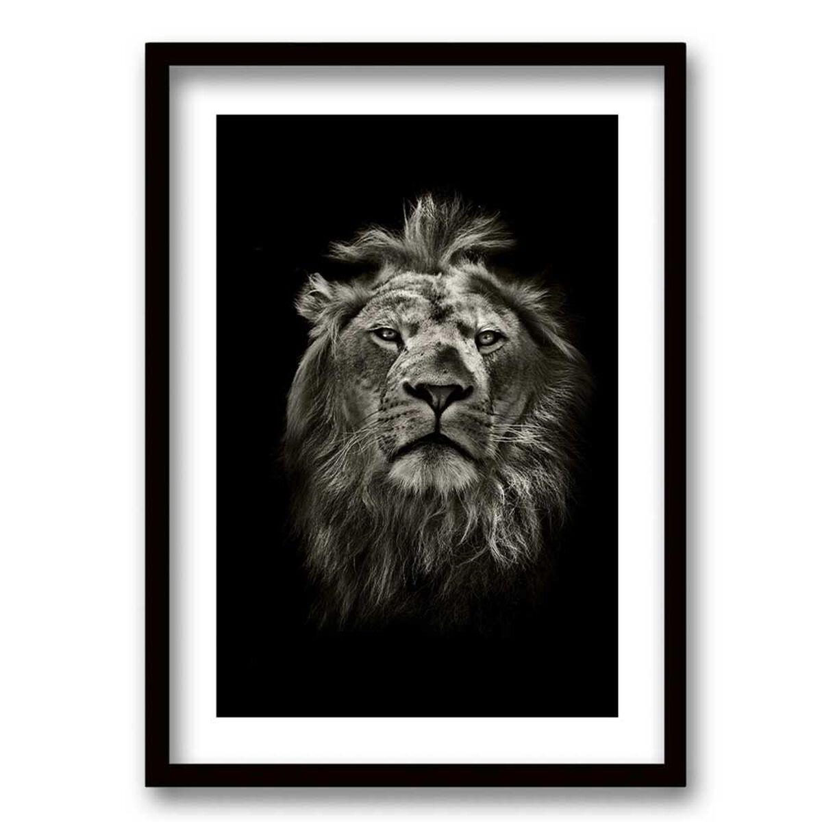 Cuadro Decorativo Retela Le&oacute;n BN 70 x 50 cm