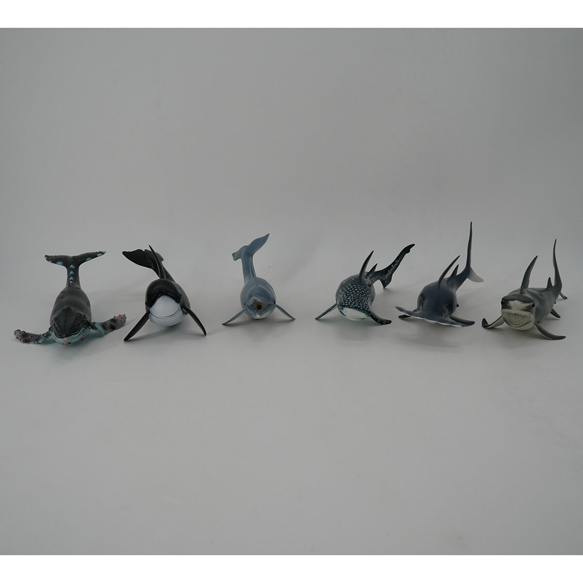 Set Animales Marinos