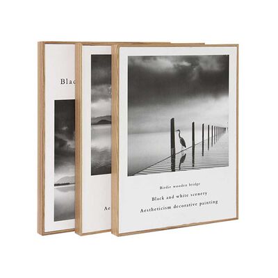 Imagen 1 del producto Set 3 Cuadros para Fotos Plástico Vgo 40 x 30 cm Natural