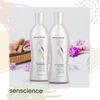 Silk Moisture Duo 300 ml