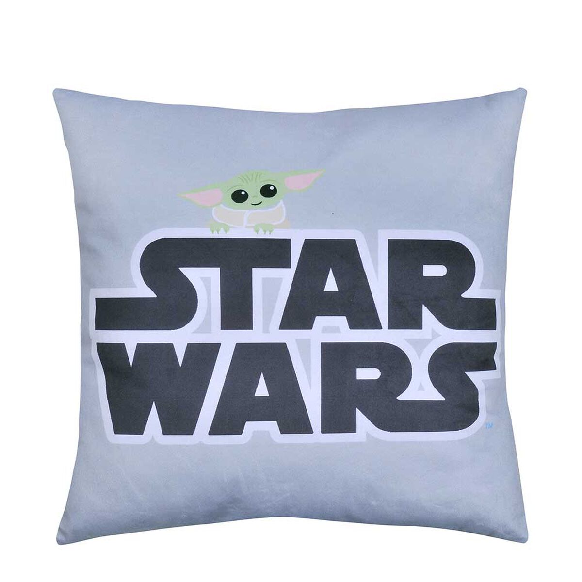 Coj&iacute;n Estampado Disney Blink 40 x 40 cm