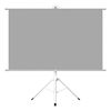 Proyector Portatil Smart Nova 9000lm + Telón 60" LEVO