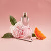 Perfume Shakira Dance EDT 50 ml