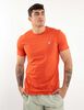 Polera Deportiva Algodón Hombre Lotto