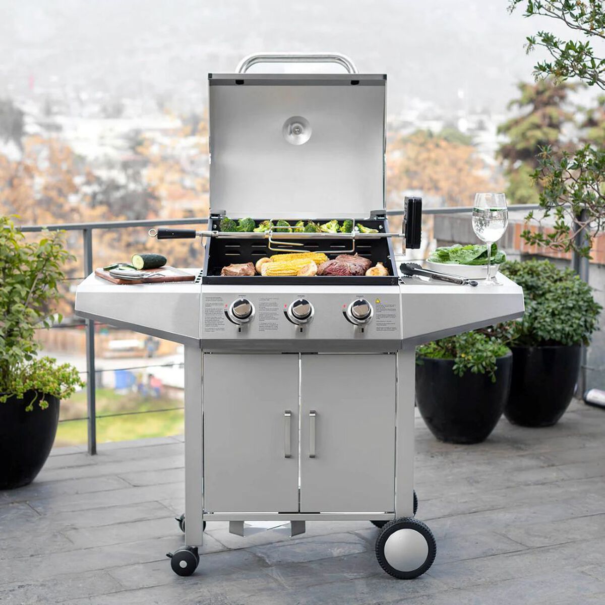 Parrilla a Gas FDV Essence 3Q