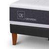 Cama Europea CIC 1,5 Plazas New Ortopedic + Plum&oacute;n + Almohada