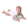 Gimnasio Acurrucame Pinguino Playgro