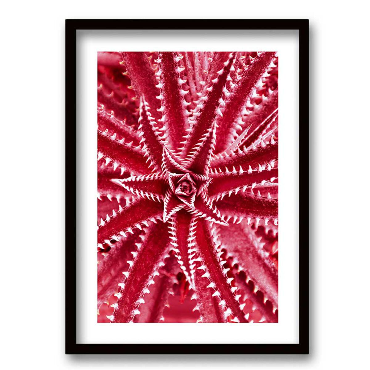 Cuadro Decorativo Retela Estrella Mar 70 x 50 cm