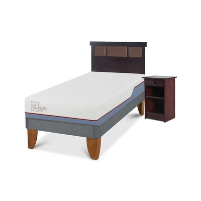 Imagen 2 del producto Cama Europea CIC 1 Plaza Excellence Plus + Respaldo + Velador New Dublin Choc