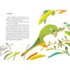 Libro Colas de Colibrí Víctor Carvajal Zig-Zag