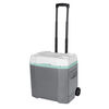 Cooler Igloo Profile 28 L con Ruedas Gris