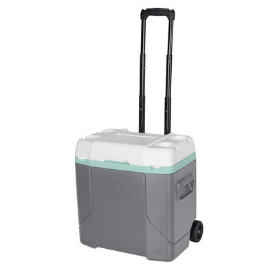 Cooler Igloo Profile 28 L con Ruedas Gris