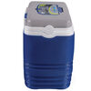 Cooler Pinnacle 25 Litros