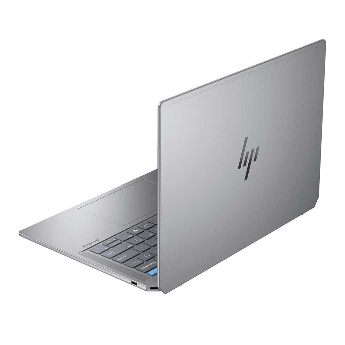 Notebook HP OmniBook Ultra 14-fd0001la Ryzen AI 9  LPDDR5x-7500 MT/s de 32 GB (incorporada) 1TB 14" Integrada